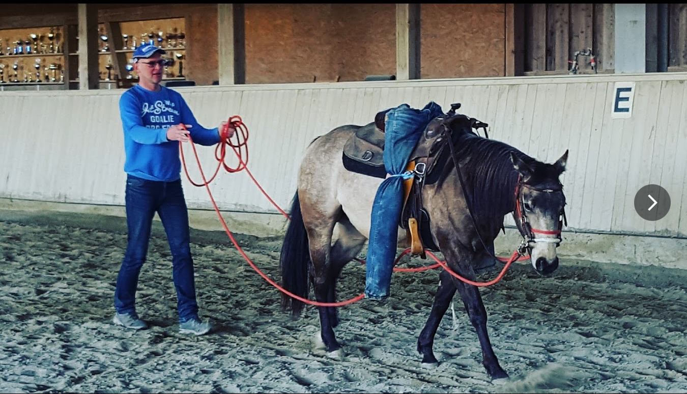 Gasttrainer bei der Bodenarbeit mit einem Pferd in der Reithalle