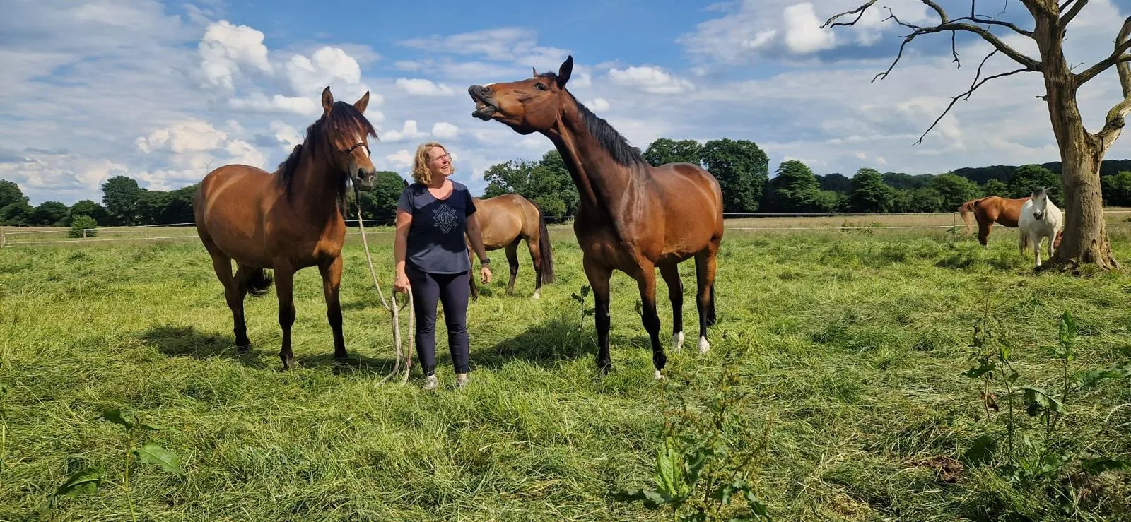 Ingrid Warnke mit ihren Pferden auf der Sommerweide