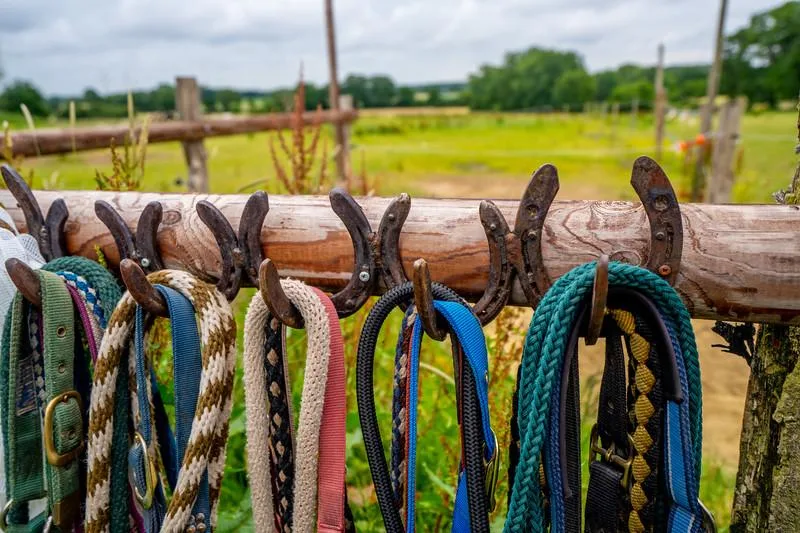 Bunte Führstricke an einer Zaunstange